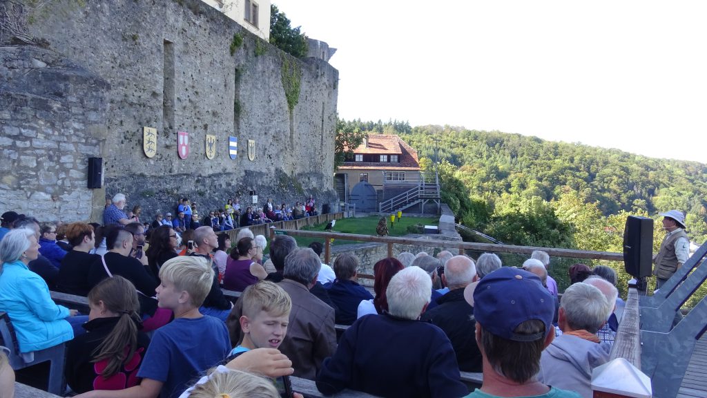 Foto der Freifvogelschau