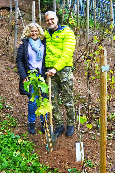 Frank lauter pflanzt Ehrenweinstock